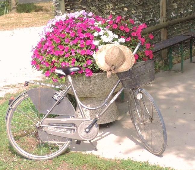 B&B I Prati Di Varmo Romans di Varmo エクステリア 写真